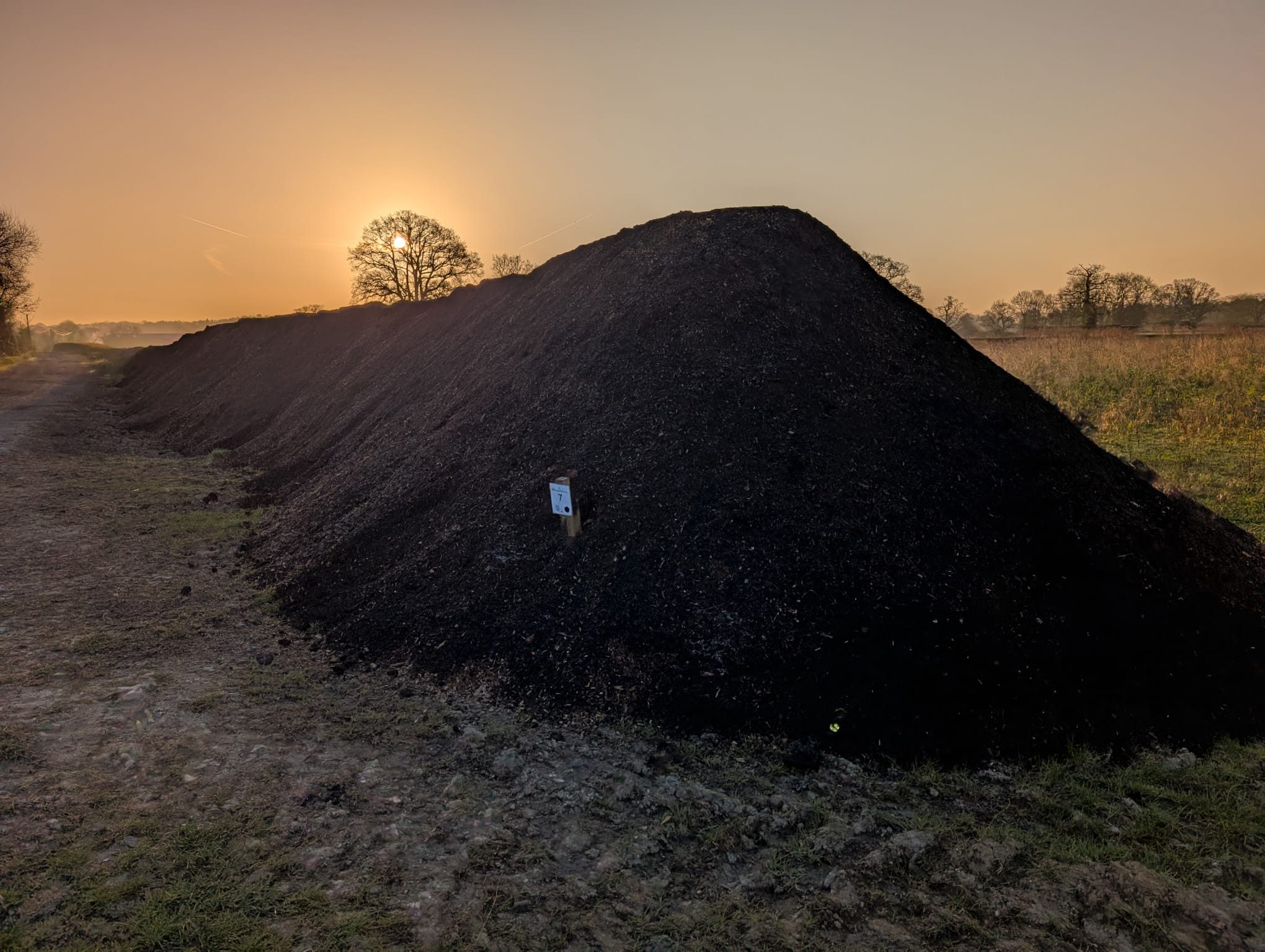 Biochar pile at sunrise